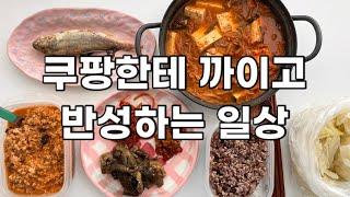 쿠팡한테 까이고 반성하는 일상 | 한달 36번 배달시킨 건에 대하여