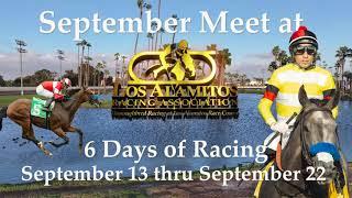 September Thoroughbred Meet 2024