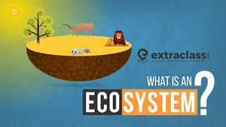 What is an Ecosystem | Biology | Extraclass.com