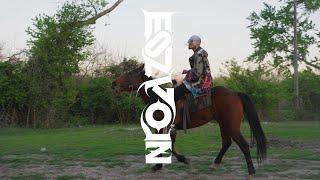 B Tamir - The MongolZ (prod. by b1shrel) (Official Music Video)