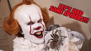 Pennywise feeding some BIG TARANTULAS! Scary large spiders! | Prince De Guzman Transformations