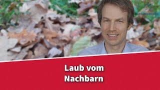 Laub vom Nachbarn - was kann ich machen? | Rechtsanwalt Dr. Achim Zimmermann