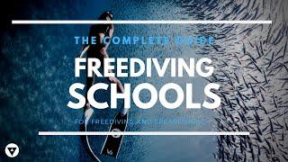 The Complete Guide | Freediving Schools | What Will I Learn If I Join A Freediving Course?