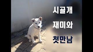 시골개 재미와 첫 만남