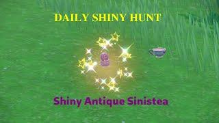 How to catch Shiny Antique Sinistea - Daily Shiny Hunt