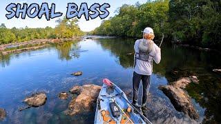 Early Fall Fishing For Shoal Bass