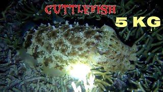 NIGHT SPEARFISHING EPISODE 17 | MELAWAN CUMI 5 KG