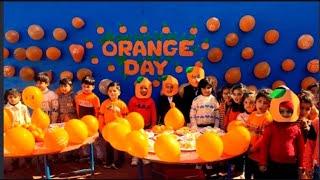 orange Day. Danish Montessori School [DMS] KotAddu.