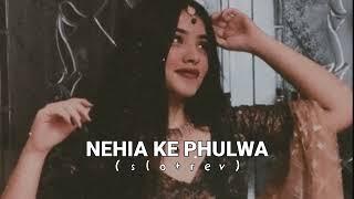 NEHIA KE PHULWA || SLOWED+REVERB || #slowedandreverb #bhojpurisong