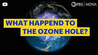 What Happened to the Hole in the Ozone Layer? | NOVA | PBS