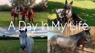 Day In My Life | New Barn Edition