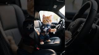 Пёс, ты где права купил?  Кот за рулем сигналит собакам #shorts  #cat  #animal  #funny   #viral