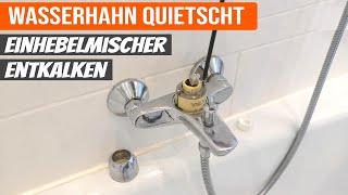 Wasserhahn reparieren // Einhebelmischer entkalken // Wasserhahn quietscht