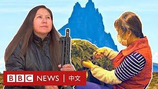 美國華人蜂擁種大麻：在印第安人保留地上的「淘麻夢」 － BBC News 中文