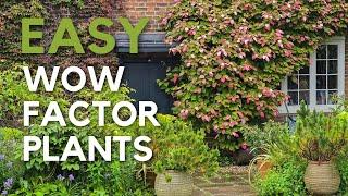 Early summer garden tips & tour - no-fuss, easy wow factor plants..