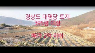 경상도 대명당 토지, 면적 395평 이상 매매가 2억 이하