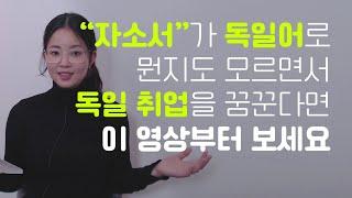 독일 취업 쌩기초 어휘와 팁, 동기부여, Q&A