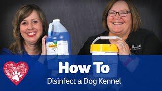 How to Disinfect a Kennel