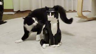 Tuxedo Cat vs. LEGO Tuxedo Cat