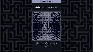 Can You Solve These Maze Puzzles?  Brain Game Challenge!