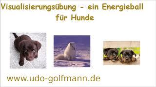 Visualisierung für Hunde Engelmedium und Hellseher Udo Golfmann