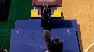 Sydney Ewing (Michigan State) 2019 Vault