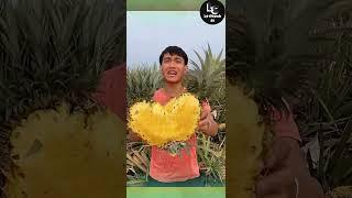 Farm fresh ninja fruit cutting #22 | Ly Chynh St  #shorts