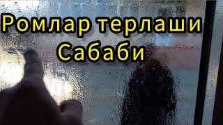 акфа ром нархлари 2025 | акфа ром терлаши