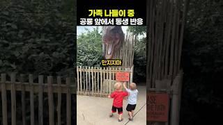 가족 나들이 중 공룡 앞에서 동생 반응