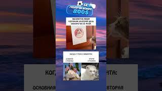 #юмор #funny #ржака #ржач
