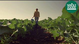 Midwest Whole Foods Market Commercial: Food From A Happy Place | Store Opening | Whole Foods Market