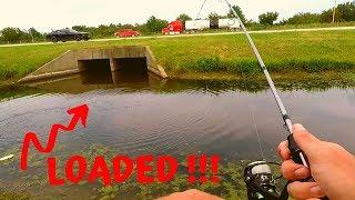 Roadside OKLAHOMA DITCH Fishing!!