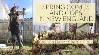 Garden From Scratch | Vlog 02 | New England Weather Be Like