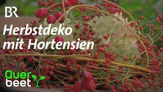 Herbstdeko mit Hortensien - Tipps von Sabrina