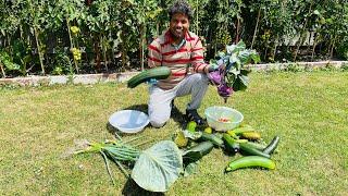 Massive Harvest In our Vegetable Garden. Mahfuza Rahman Garden in New Zealand