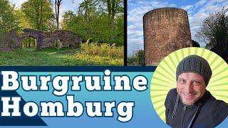 Burgruine Homburg im Homburgwald Stadtoldendorf - Wanderung Waldpädagogikzentrum Weserbergland