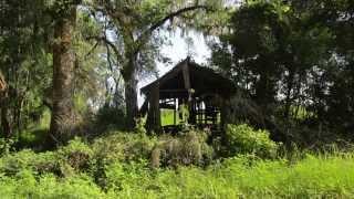 Florida Abandoned House