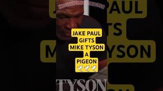 #HighlyElevated369 #miketyson #jakepaul #tysonvspaul #boxing #coldblooded