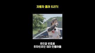 저기 차좀 빼주세여