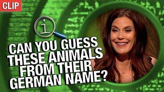 QI | Can You Guess These Animals From Their German Name?