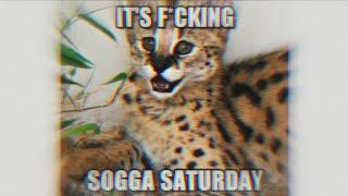 it's sogga saturday