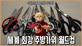 반전의 반전! 5개월간의 검증을 거쳐 찾은 세계 최고의 가위ㅣ내돈내산