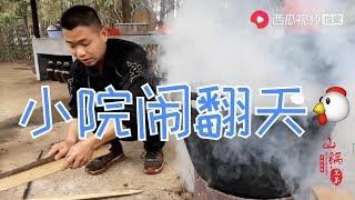 【山鍋兄弟】山鍋兄弟出去約會，小院鬧翻了天，老黑手忙腳亂直呼不好幹！
