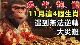 無法想象！10月這4個生肖會遇到無法逆轉的大災難，兔、牛、狗、龍一隻都逃不掉，趕緊告訴身邊人！