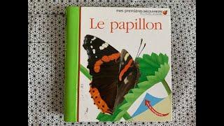 ⭐️Le papillon - (extrait) livre documentaire - mes premières découvertes Gallimard jeunesse