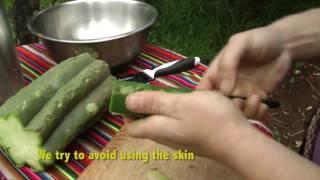 How to prepare San Pedro Cactus paste (Mescaline)