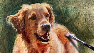 Golden Retriever Oil Painting | How to Paint Dogs Alla Prima