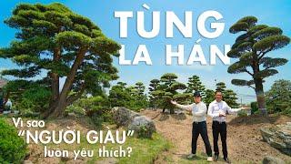 Thú chơi TÙNG LA HÁN Tiền Tỷ của bậc CHÍNH NHÂN QUÂN TỬ có thực sự Thú Vị !!? | NHATO Review