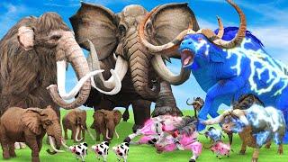 10 African Elephant vs 10 Giant Tiger Lion Attack Cow Buffalo Baby Elephant Mammoth vs Asian Elephan