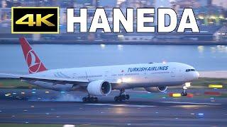 [4K] 36 jets at sunset - Plane spotting at Tokyo Haneda Airport on June 12, 2022 / 羽田空港 JAL ANA